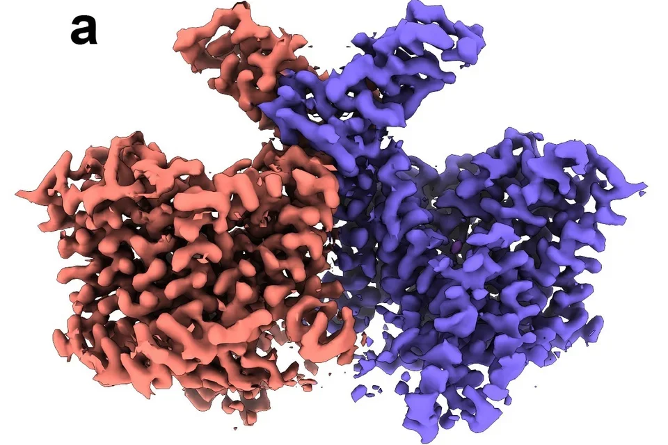 n-glycosylations chemical compound upper part 1